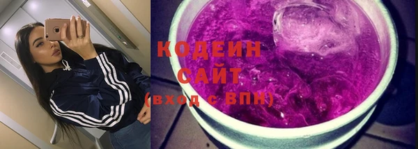 гашик Алзамай