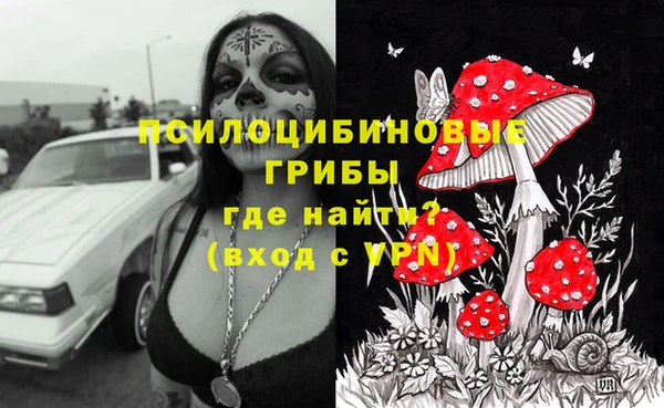 бошки Алексин